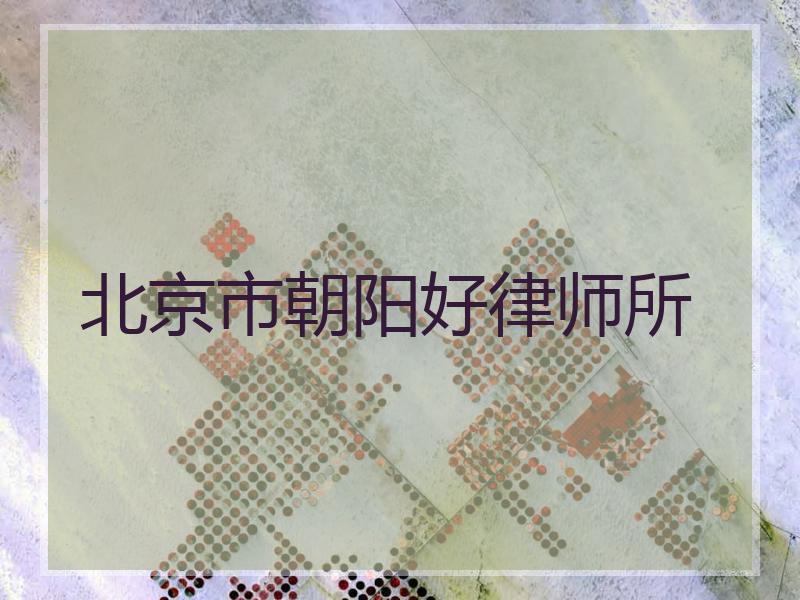 北京市朝阳好律师所