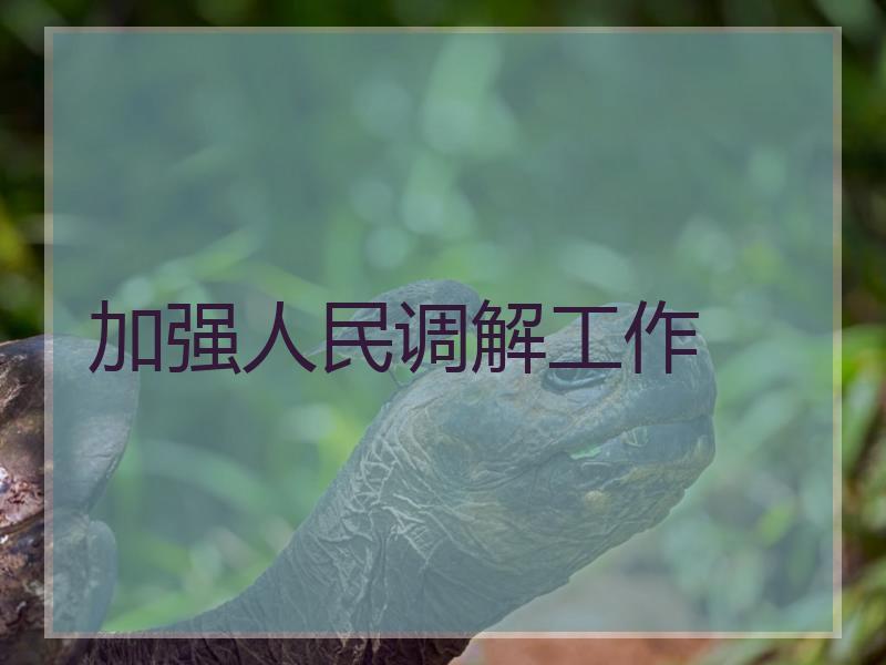 加强人民调解工作