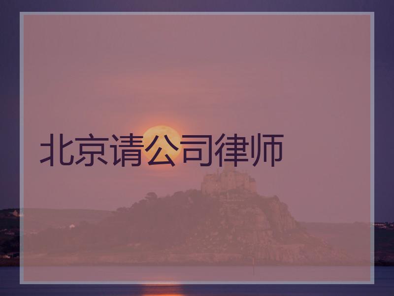 北京请公司律师