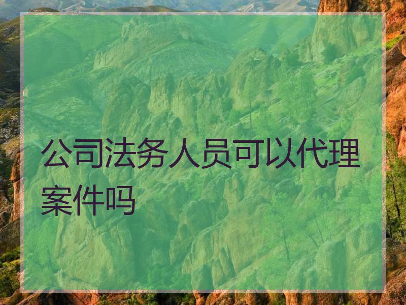 公务人员可以代理案件吗