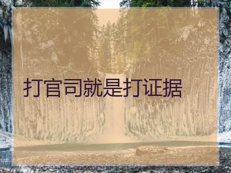打官司就是打证据