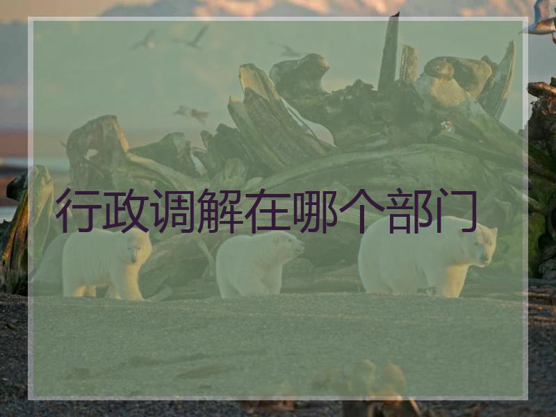 行政调解在哪个部门