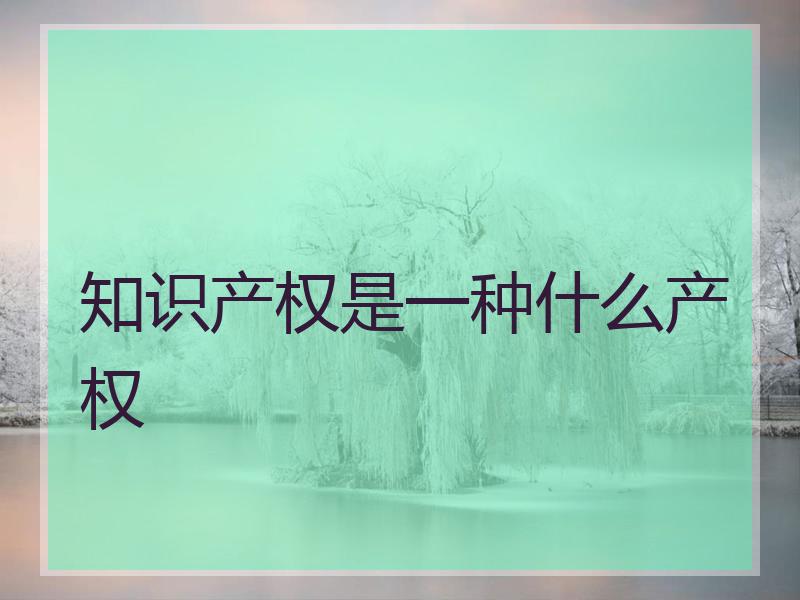 知识产权是一种什么产权