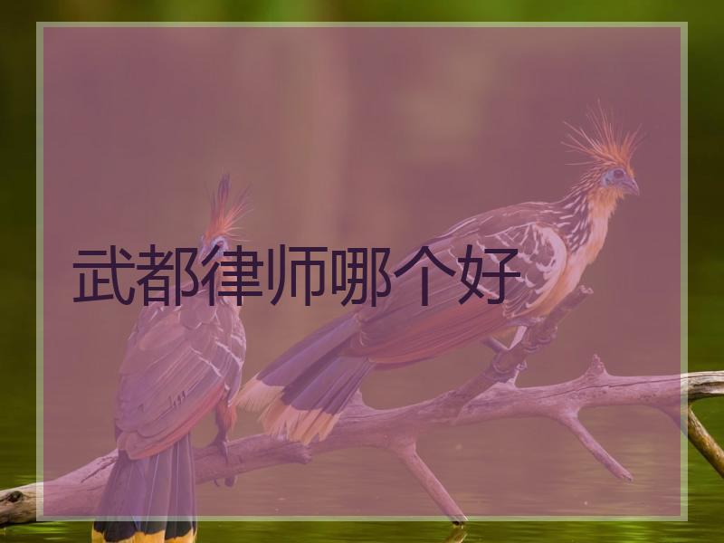 武都律师哪个好