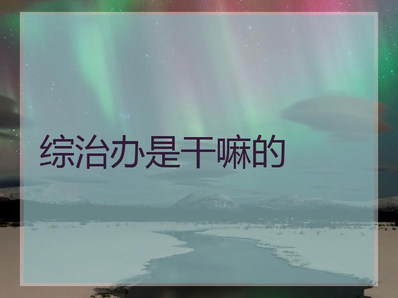 综治办是干嘛的