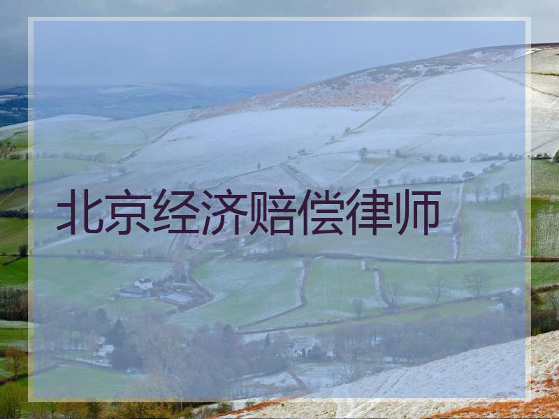 北京经济赔偿律师