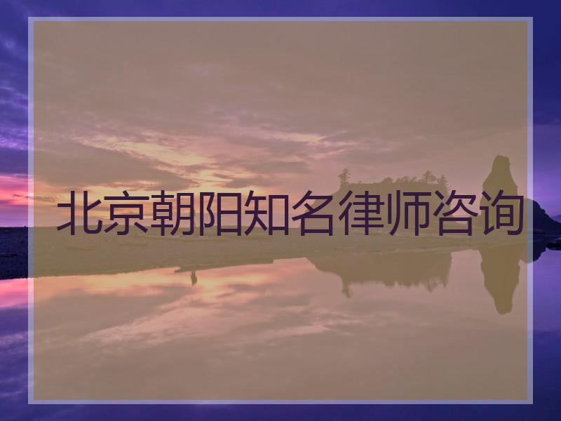 北京朝阳知名律师咨询