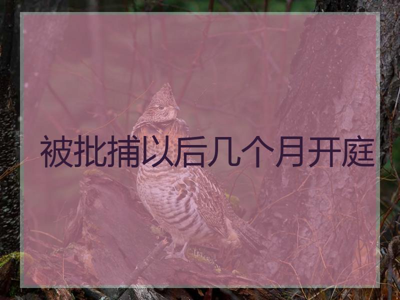 被批捕以后几个月开庭
