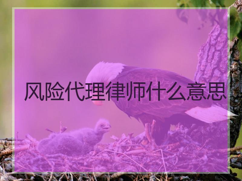 风险代理律师什么意思