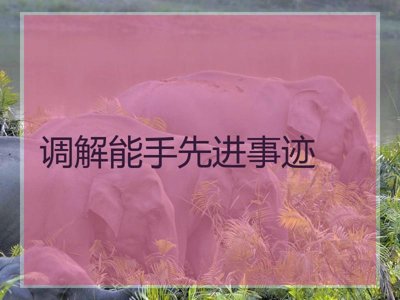 调解能手先进事迹