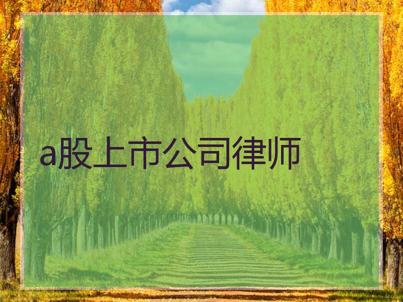 a股上市公司律师