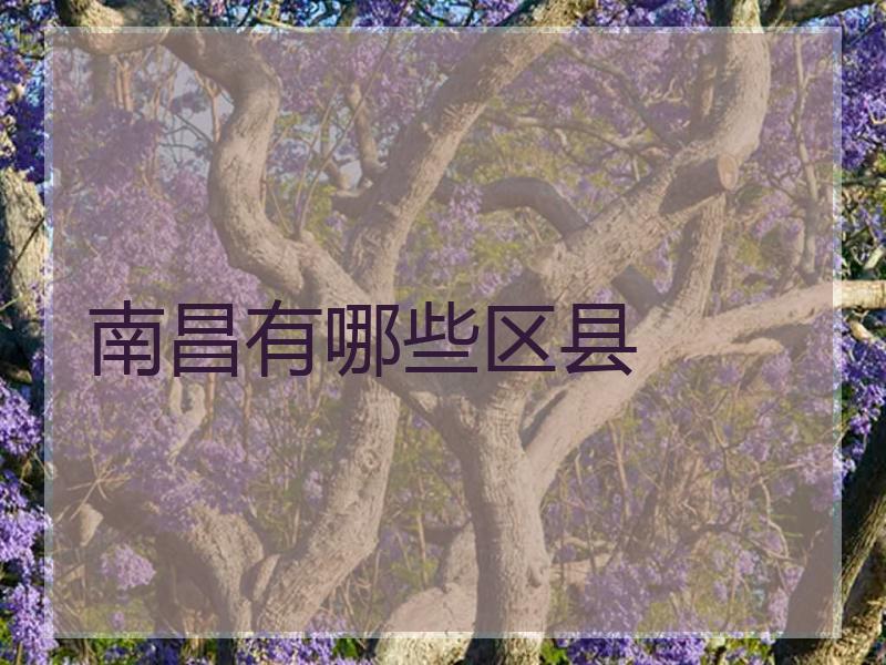 南昌有哪些区县