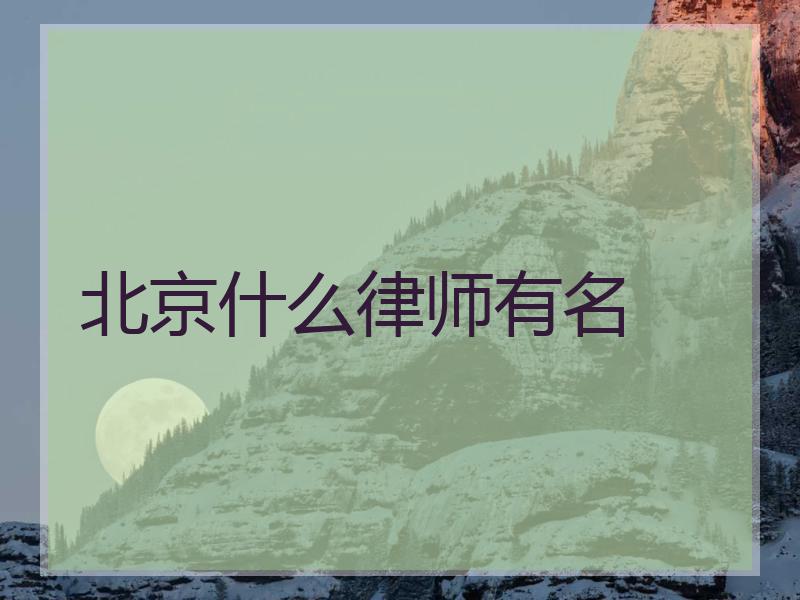 北京什么律师有名