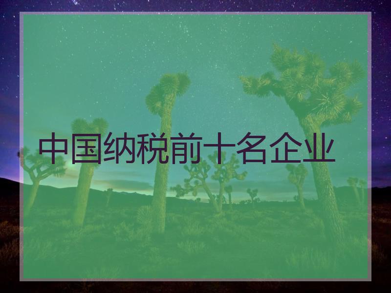 中国纳税前十名企业