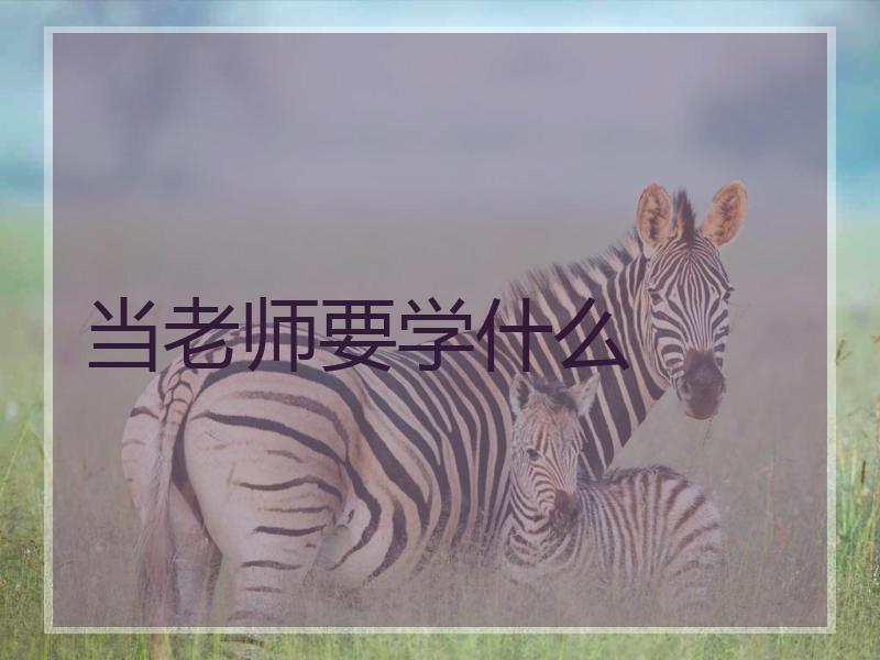 当老师要学什么