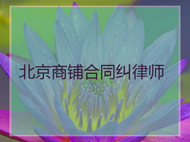 北京商铺合同纠律师