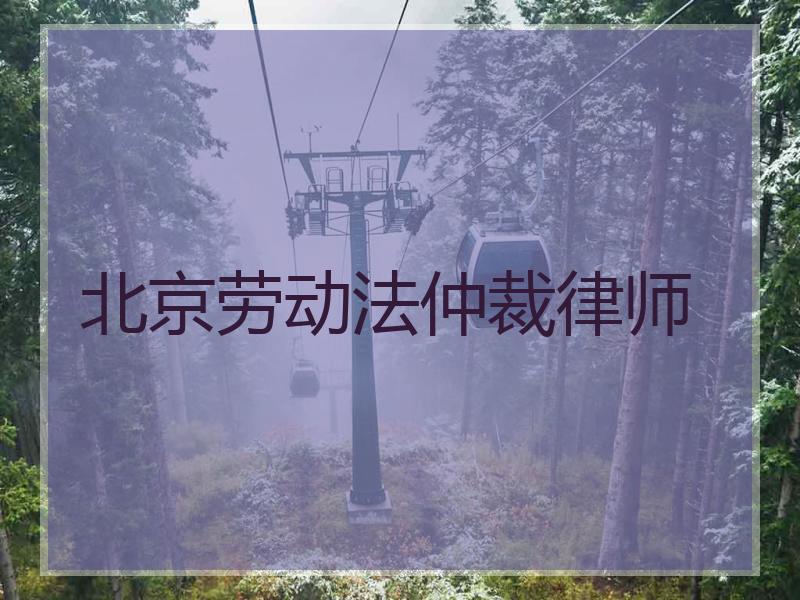 北京劳动法仲裁律师