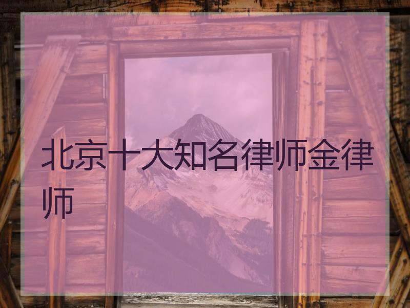 北京十大知名律师金律师