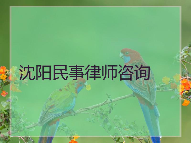 沈阳民事律师咨询