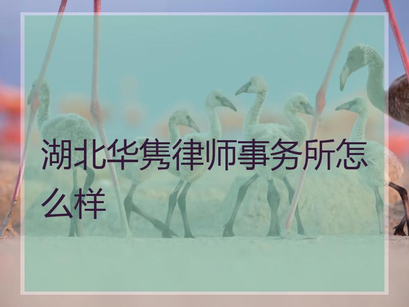 湖北华隽律师事务所怎么样