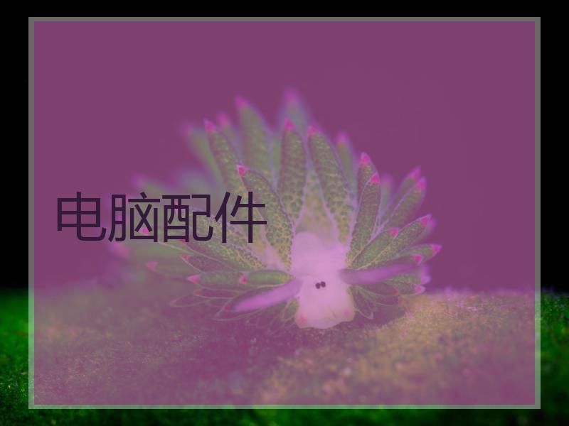 电脑配件