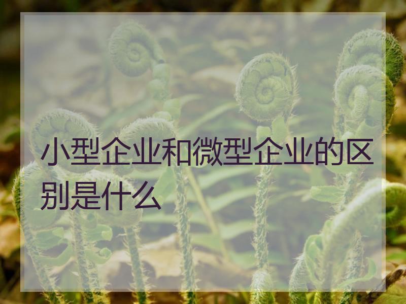 小型企业和微型企业的区别是什么