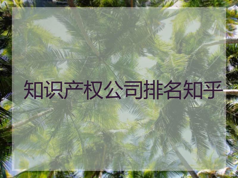 知识产权公司排名