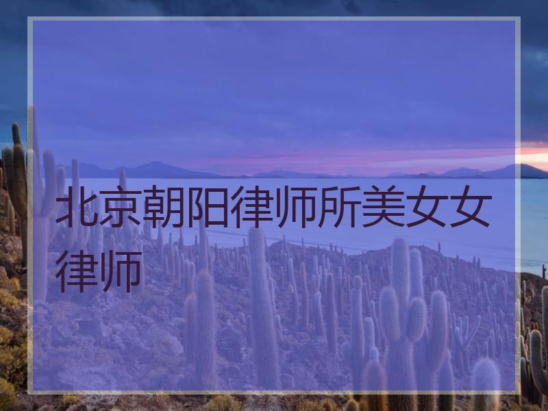 北京朝阳律师所美女女律师