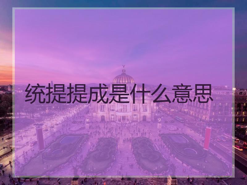 统提提成是什么意思