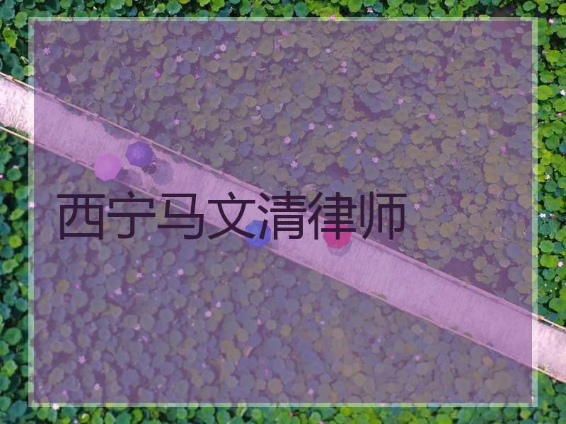 西宁马文清律师
