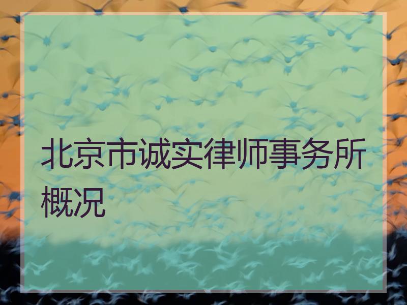 北京市诚实律师事务所概况