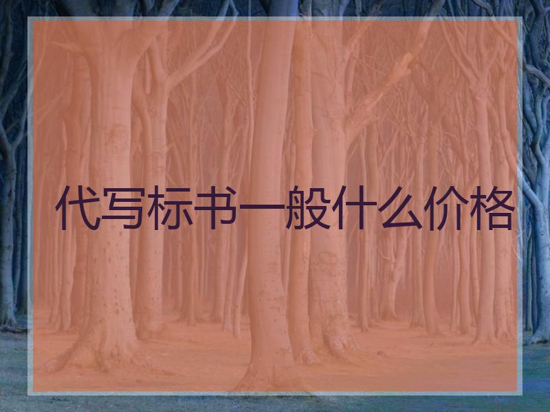 代写标书一般什么价格