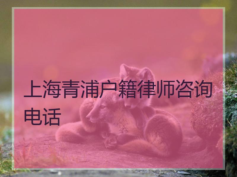 上海青浦户籍律师咨询电话