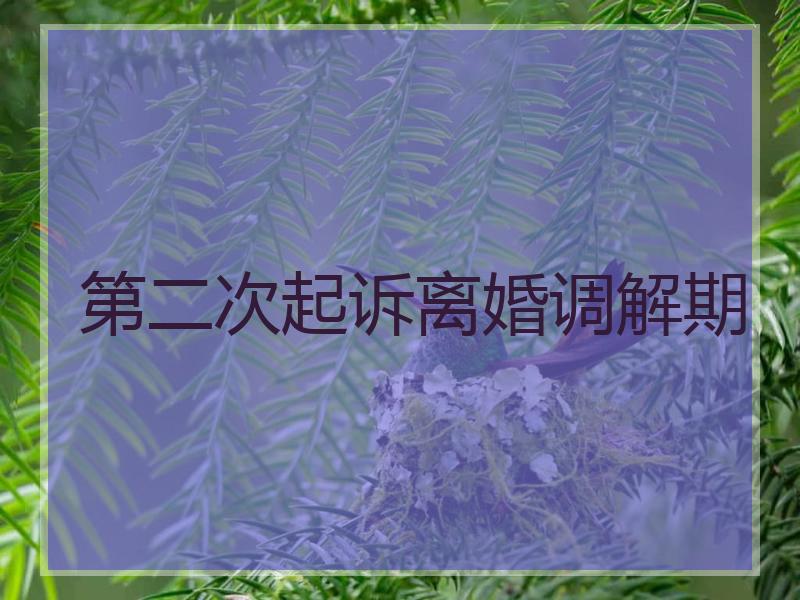 第二次起诉离婚调解期