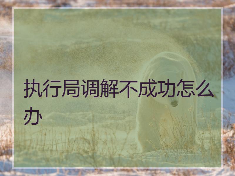 执行局调解不成功怎么办