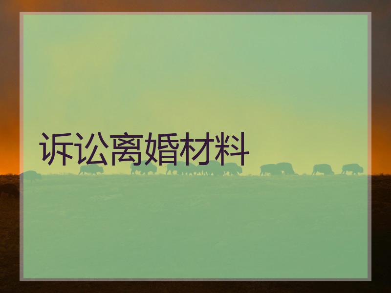 诉讼离婚材料