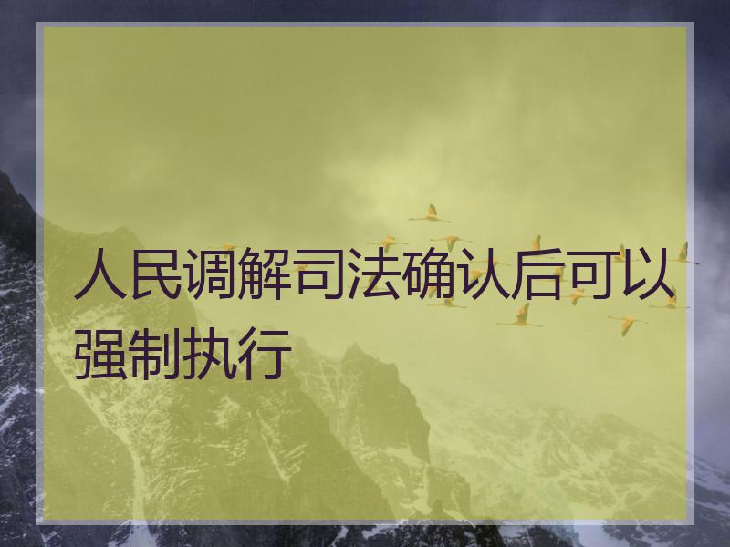 人民调解确认后可以强制执行