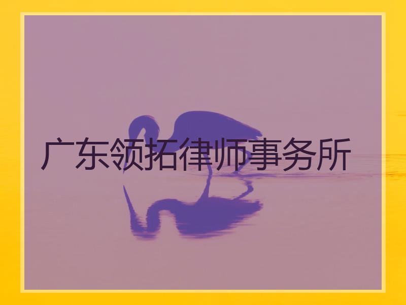 广东领拓律师事务所