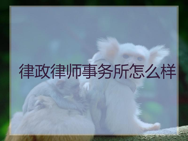 律政律师事务所怎么样