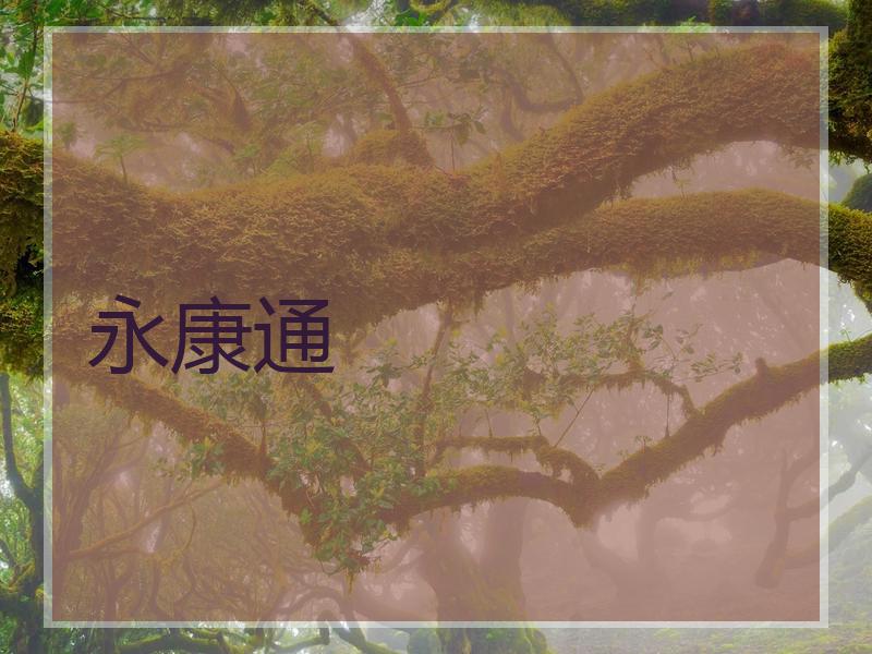 永康通