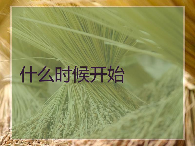 什么时候开始