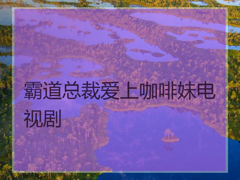 霸道总裁爱上咖啡妹电视剧