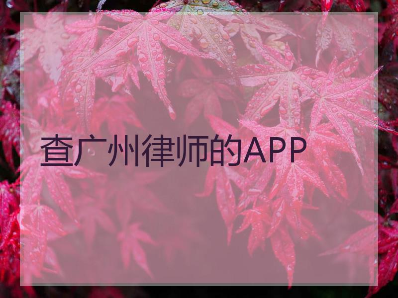 查广州律师的APP