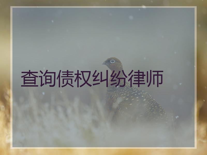 查询债权纠纷律师