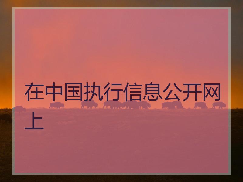 在中国执行信息公开网上