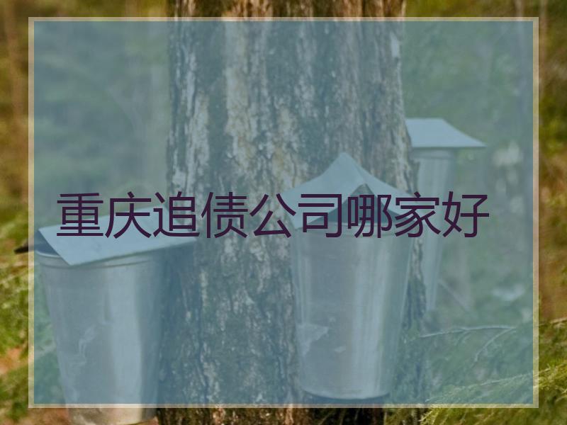 重庆追债公司哪家好