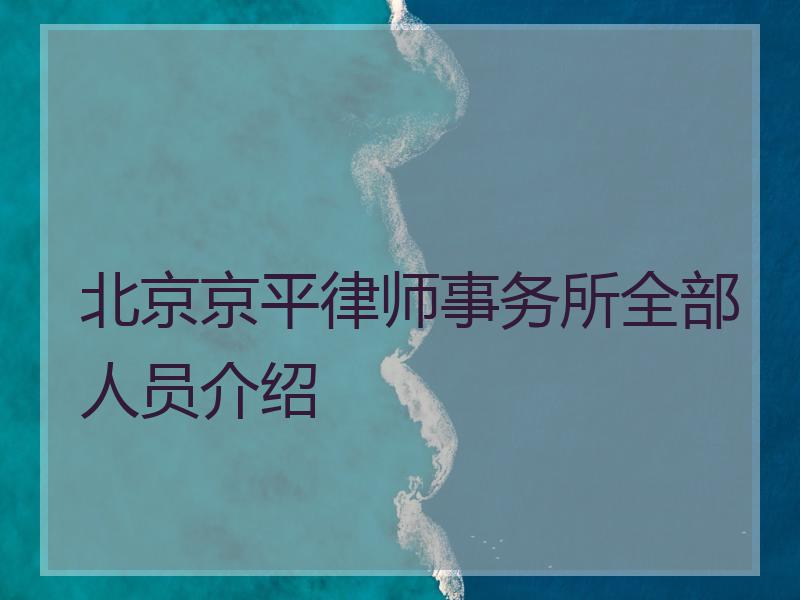 北京京平律师事务所全部人员介绍