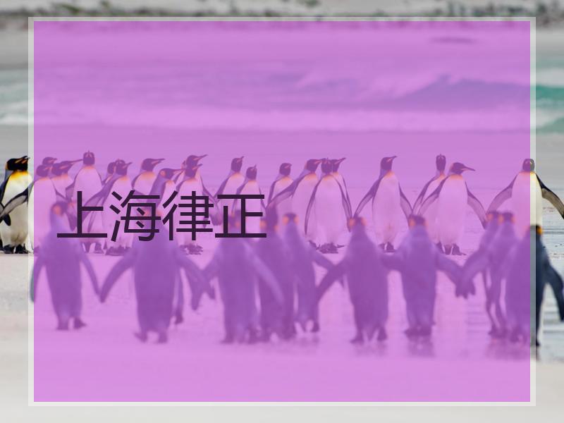 上海律正