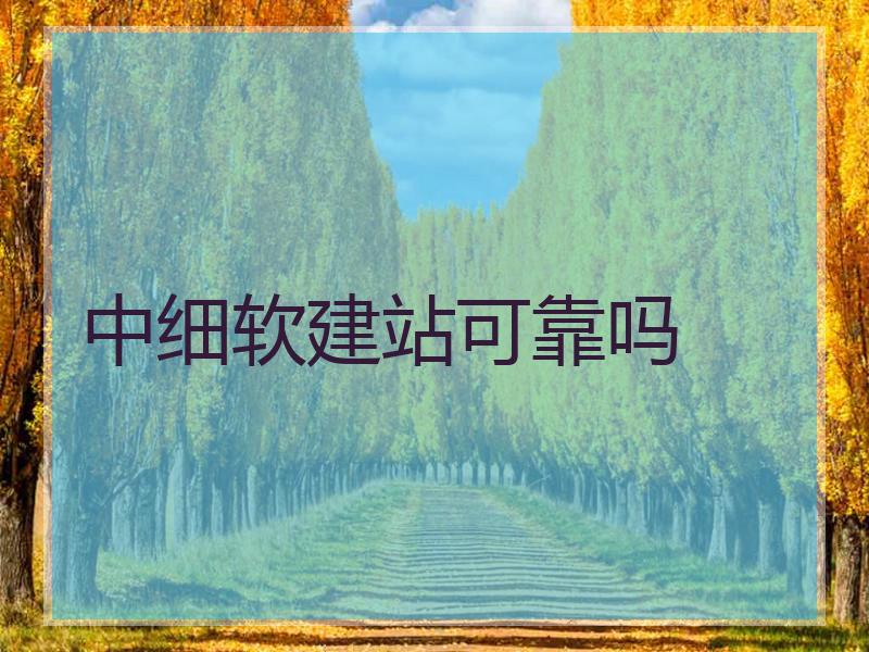 中细软建站可靠吗