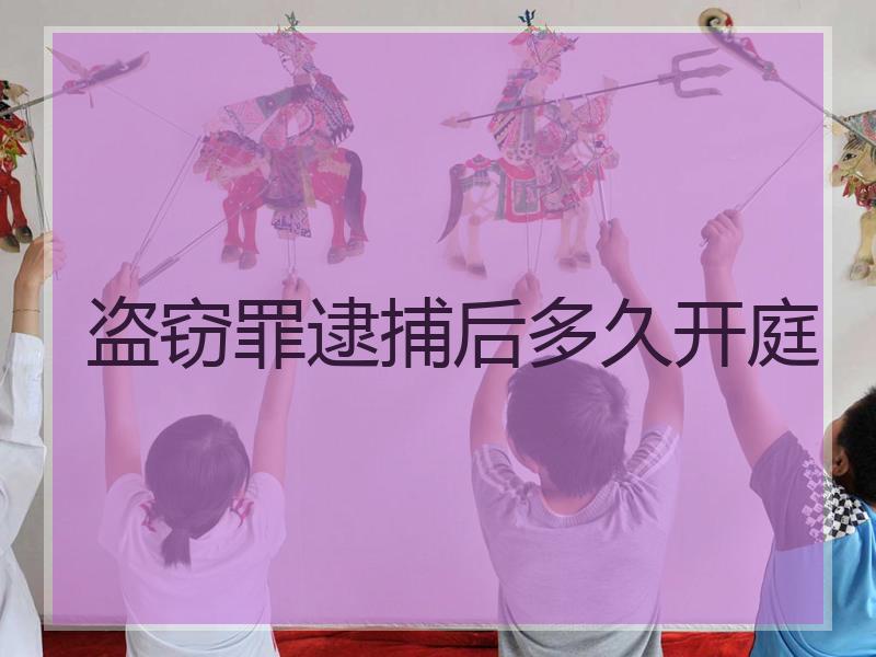盗窃罪逮捕后多久开庭